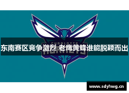 东南赛区竞争激烈 老鹰黄蜂谁能脱颖而出