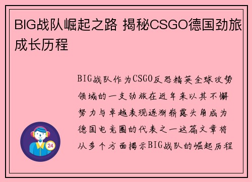 BIG战队崛起之路 揭秘CSGO德国劲旅成长历程 BIG战队崛起之路 揭秘CSGO德国劲旅成长历程